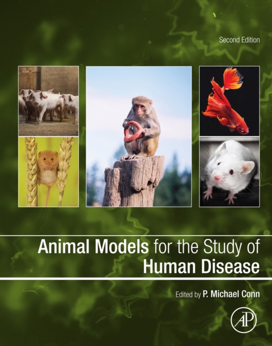 Animal Models for the Study of Human Disease (e-bog) af -