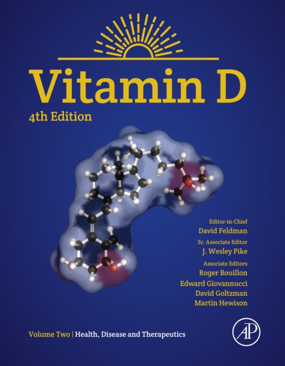 Vitamin D (e-bog) af -