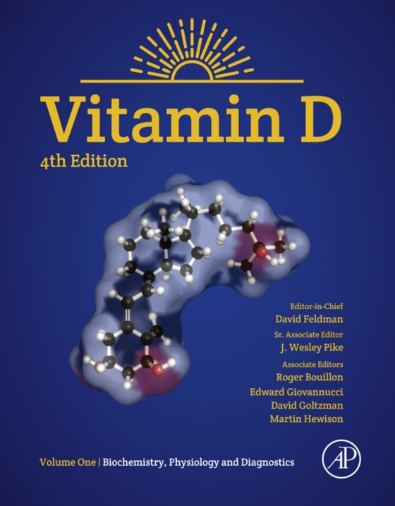 Vitamin D (e-bog) af -