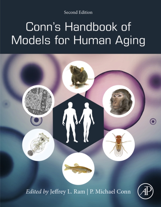 Conn's Handbook of Models for Human Aging (e-bog) af -