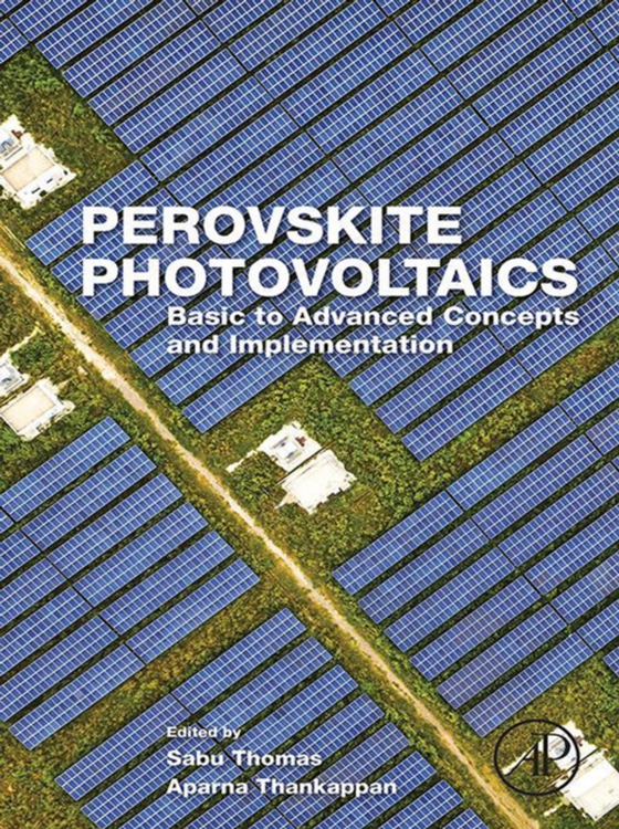 Perovskite Photovoltaics (e-bog) af -