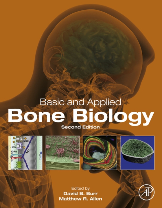 Basic and Applied Bone Biology (e-bog) af -