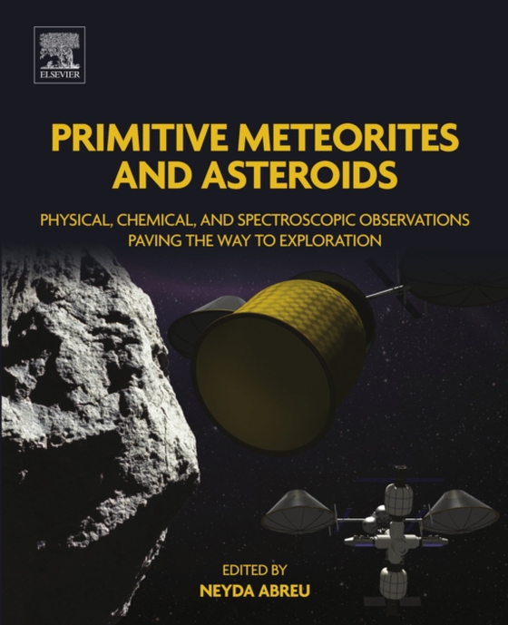 Primitive Meteorites and Asteroids (e-bog) af -