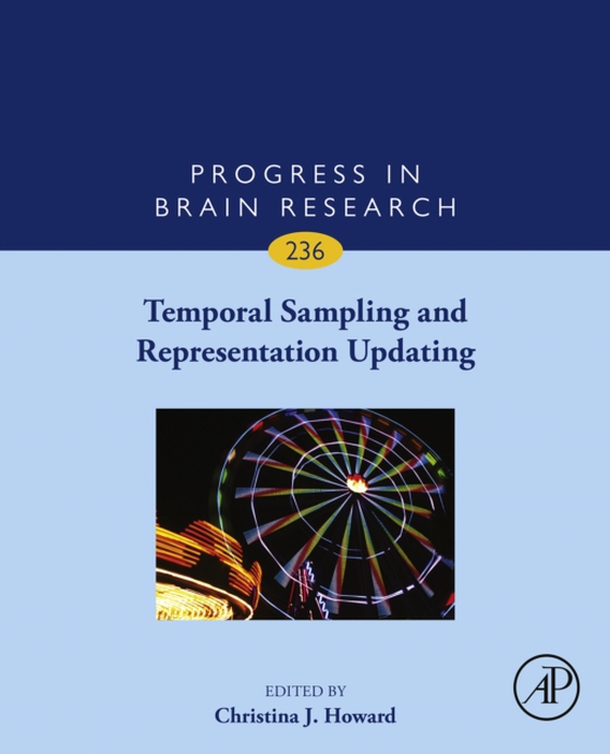 Temporal Sampling and Representation Updating (e-bog) af -
