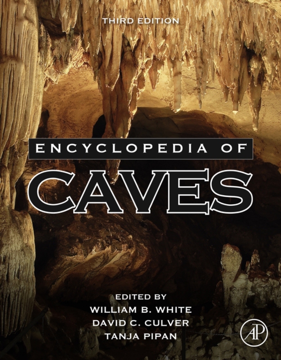 Encyclopedia of Caves (e-bog) af -