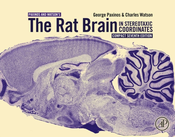 Rat Brain in Stereotaxic Coordinates: Compact (e-bog) af Watson, Charles