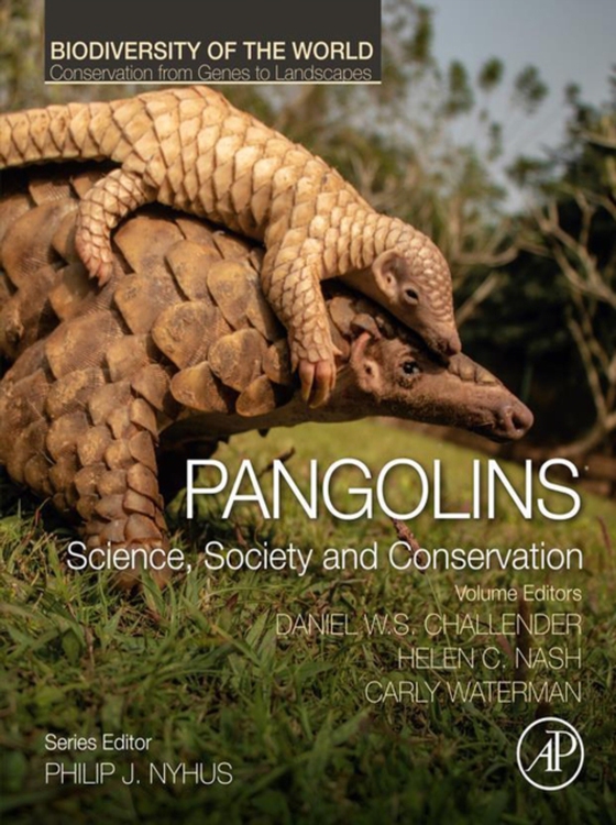 Pangolins (e-bog) af -