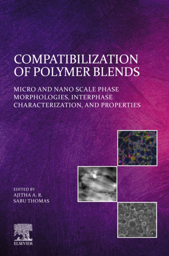 Compatibilization of Polymer Blends (e-bog) af -