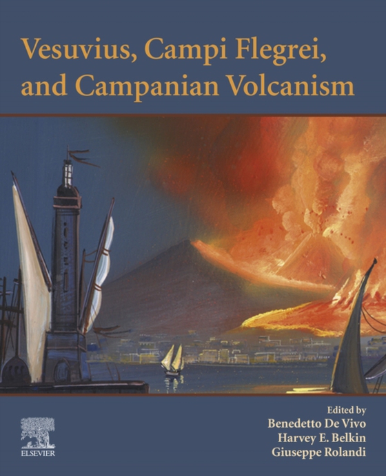 Vesuvius, Campi Flegrei, and Campanian Volcanism (e-bog) af -