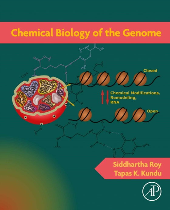 Chemical Biology of the Genome (e-bog) af Kundu, Tapas K.