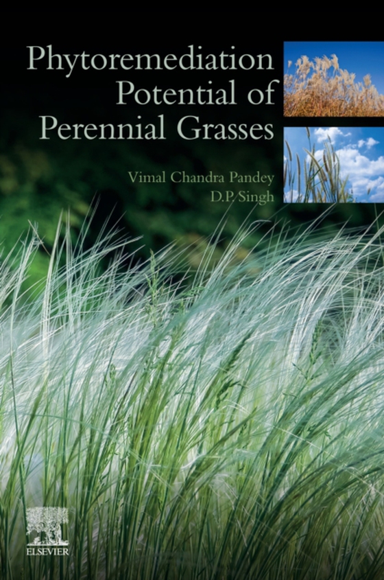 Phytoremediation Potential of Perennial Grasses (e-bog) af Singh, D.P.