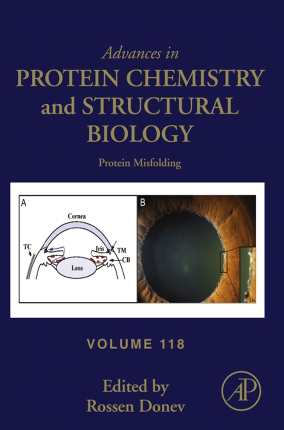 Protein Misfolding (e-bog) af -