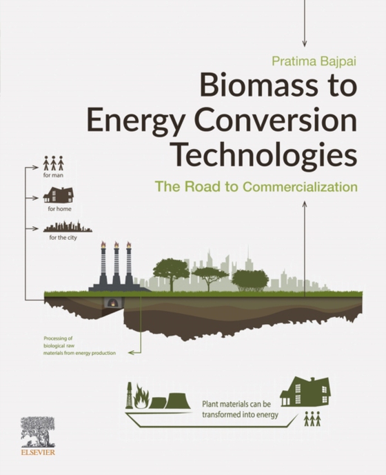 Biomass to Energy Conversion Technologies (e-bog) af Bajpai, Pratima