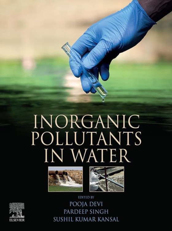 Inorganic Pollutants in Water (e-bog) af -