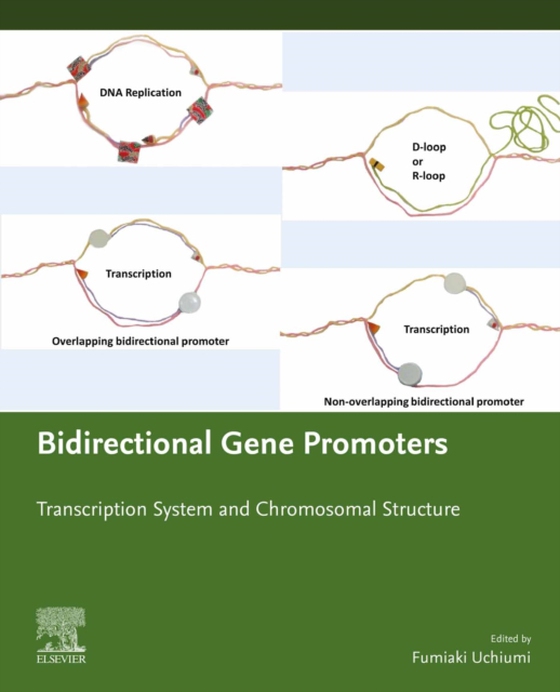 Bidirectional Gene Promoters (e-bog) af Uchiumi, Fumiaki
