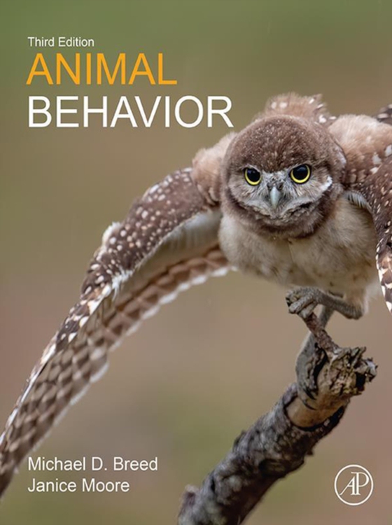 Animal Behavior (e-bog) af Moore, Janice