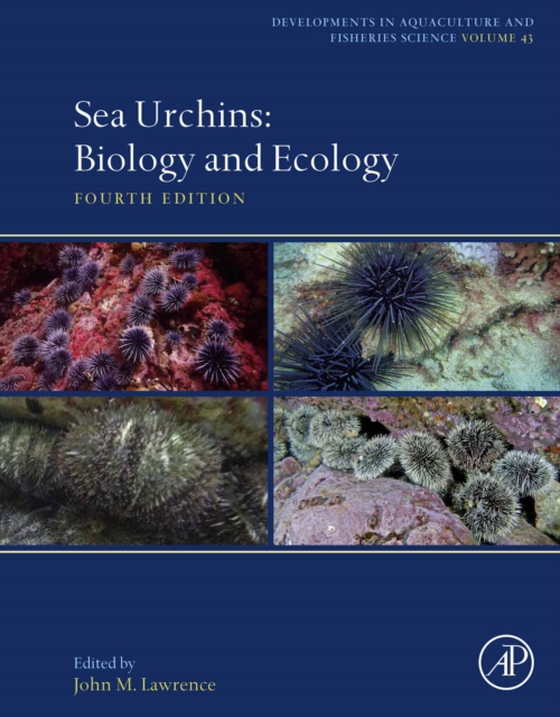 Sea Urchins (e-bog) af -