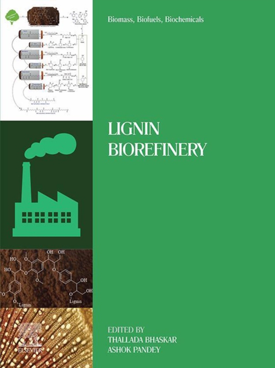 Biomass, Biofuels, Biochemicals (e-bog) af -