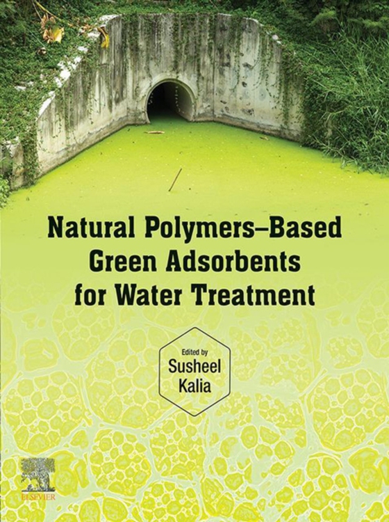 Natural Polymers-Based Green Adsorbents for Water Treatment (e-bog) af -