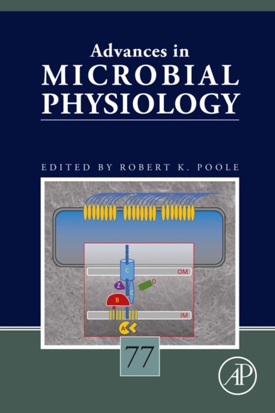 Advances in Microbial Physiology Volume 77 (e-bog) af -