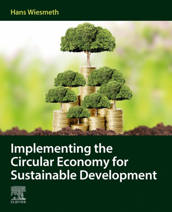 Implementing the Circular Economy for Sustainable Development (e-bog) af Wiesmeth, Hans