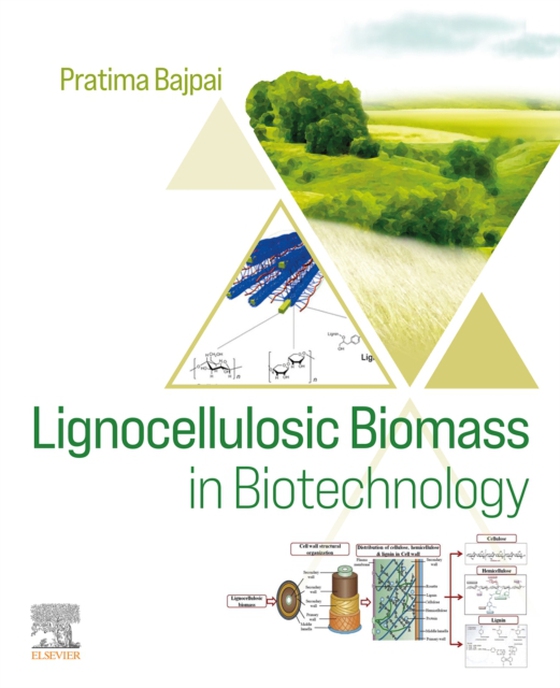 Lignocellulosic Biomass in Biotechnology (e-bog) af Bajpai, Pratima