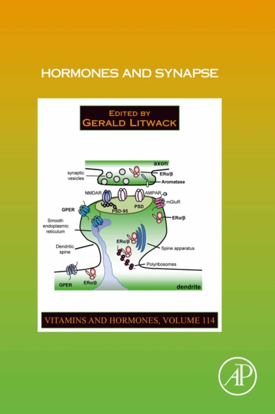 Hormones and Synapse (e-bog) af -