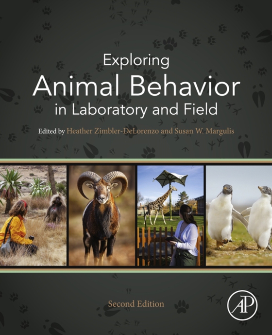Exploring Animal Behavior in Laboratory and Field (e-bog) af -