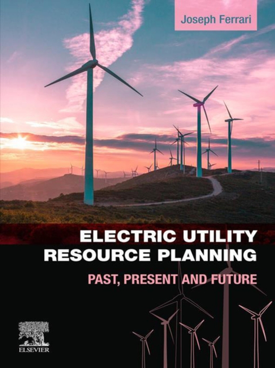 Electric Utility Resource Planning (e-bog) af Ferrari, Joe