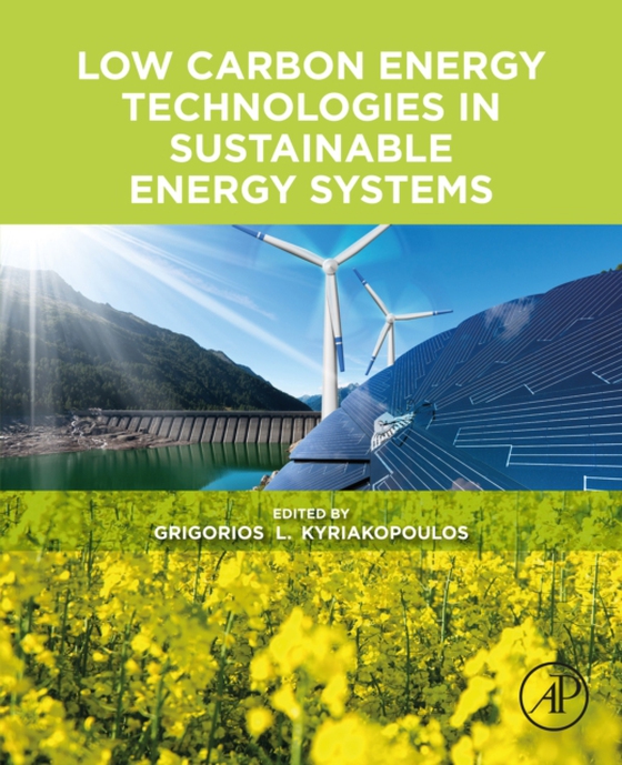 Low Carbon Energy Technologies in Sustainable Energy Systems (e-bog) af -