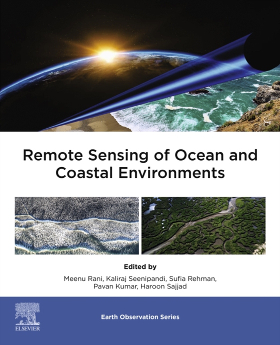 Remote Sensing of Ocean and Coastal Environments (e-bog) af -