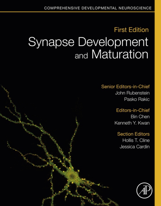 Synapse Development and Maturation (e-bog) af -