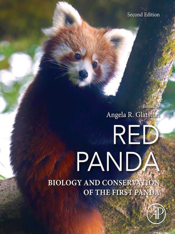 Red Panda (e-bog) af -