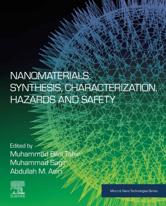 Nanomaterials: Synthesis, Characterization, Hazards and Safety (e-bog) af -