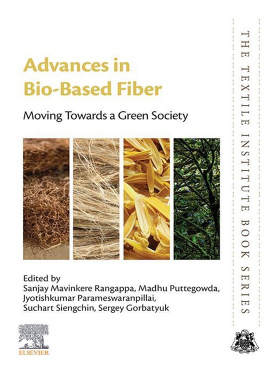 Advances in Bio-Based Fiber (e-bog) af -