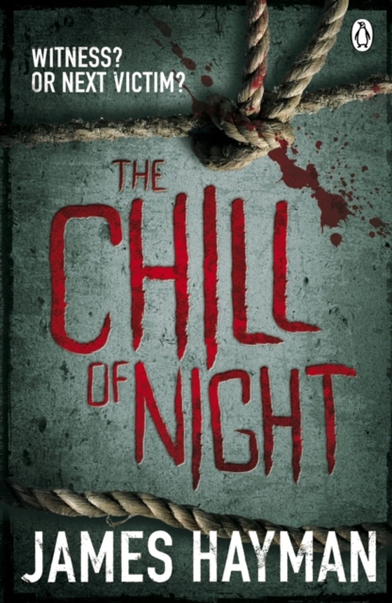 Chill of Night (e-bog) af Hayman, James