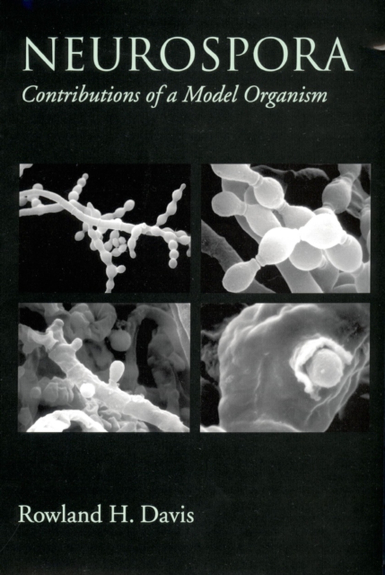 Neurospora (e-bog) af Davis, Rowland H.