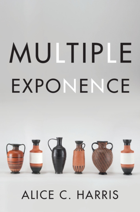 Multiple Exponence