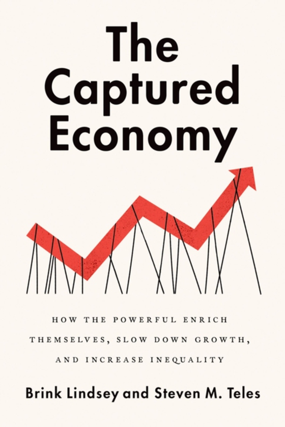 Captured Economy (e-bog) af Teles, Steven M.