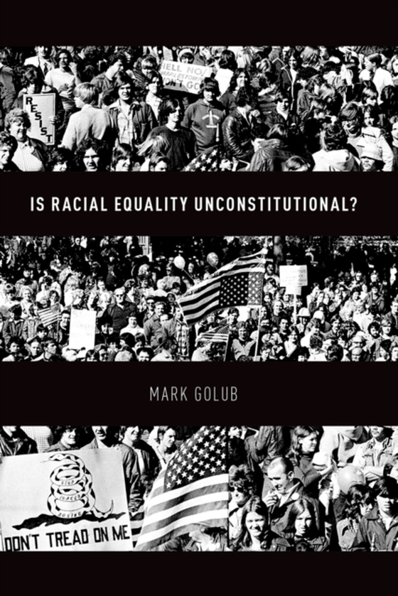 Is Racial Equality Unconstitutional?