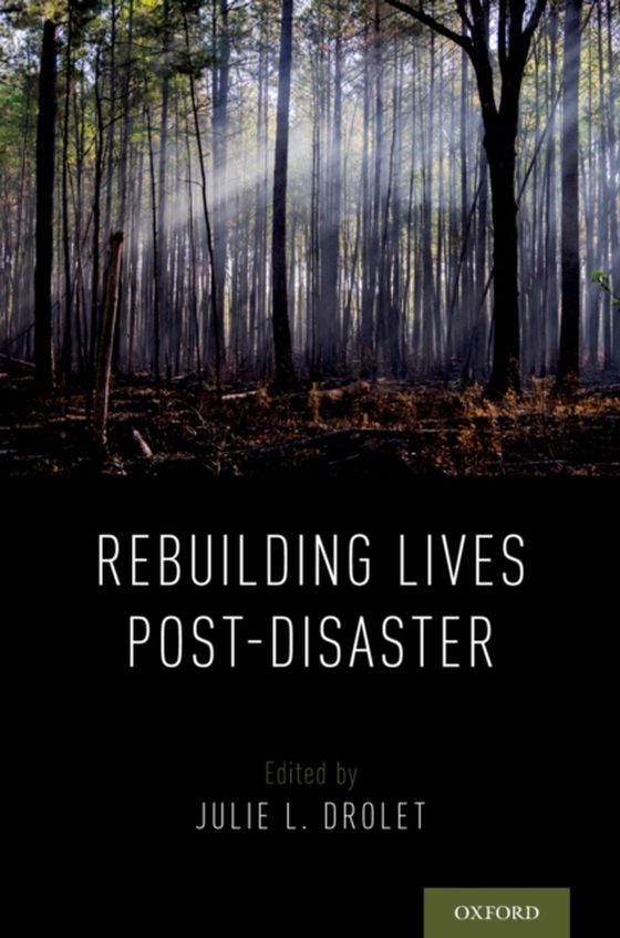 Rebuilding Lives Post-Disaster (e-bog) af -