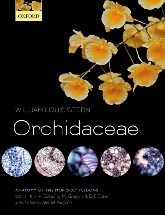 Anatomy of the Monocotyledons Volume X: Orchidaceae (e-bog) af Stern, William Louis