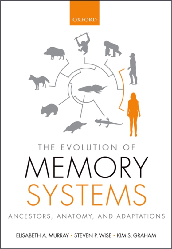 Evolution of Memory Systems