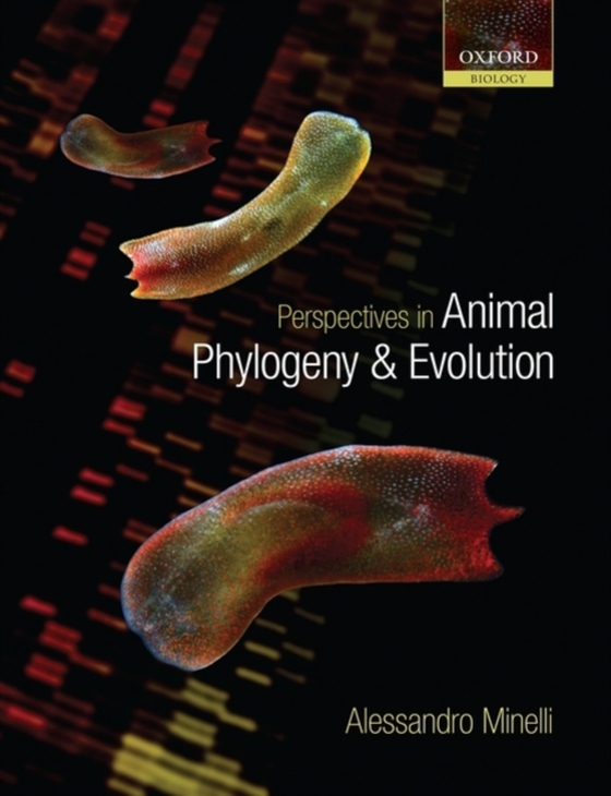 Perspectives in Animal Phylogeny and Evolution (e-bog) af Minelli, Alessandro