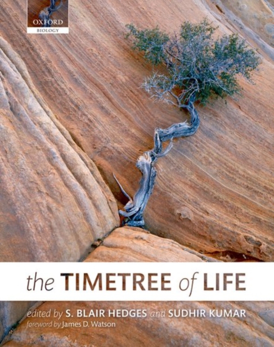 Timetree of Life (e-bog) af -