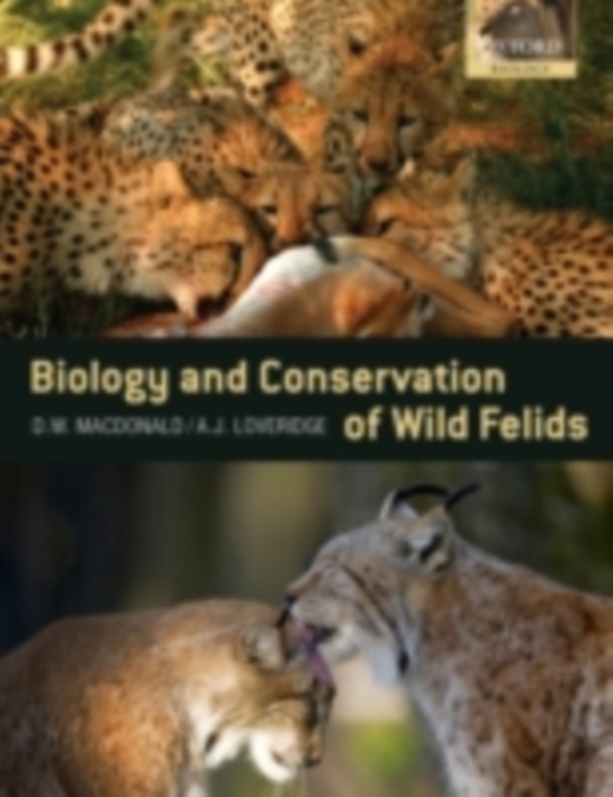 Biology and Conservation of Wild Felids (e-bog) af -