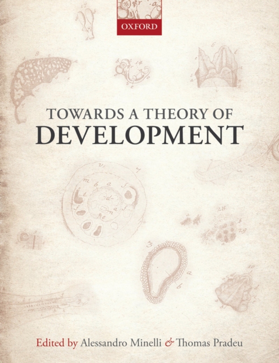 Towards a Theory of Development (e-bog) af -