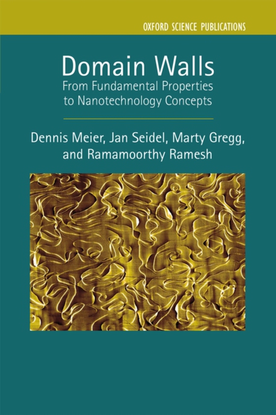 Domain Walls