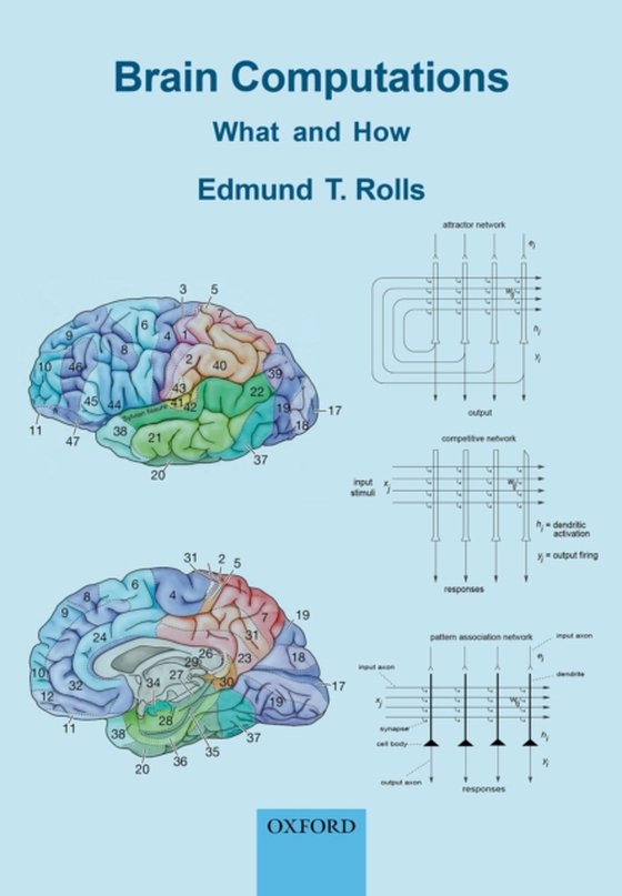 Brain Computations (e-bog) af Rolls, Edmund T.