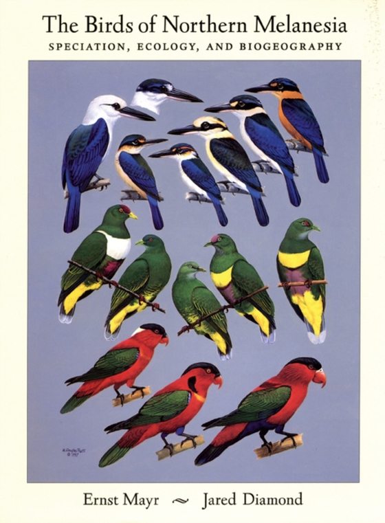 Birds of Northern Melanesia